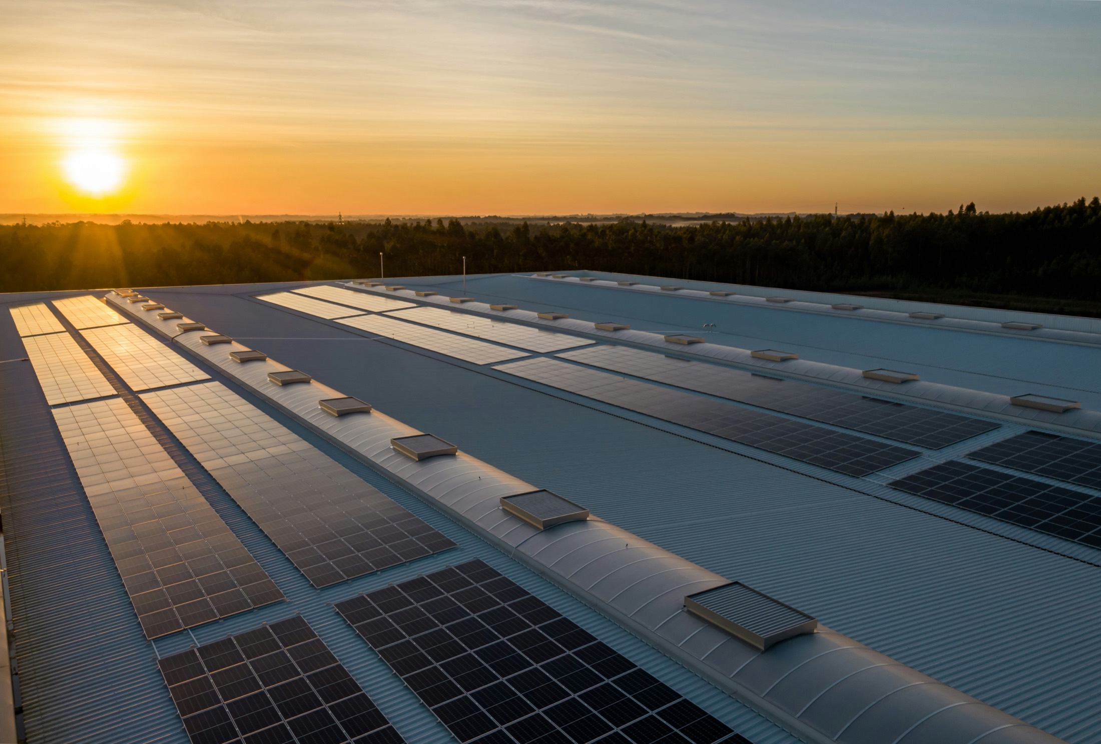 Solar panels at golden hour
