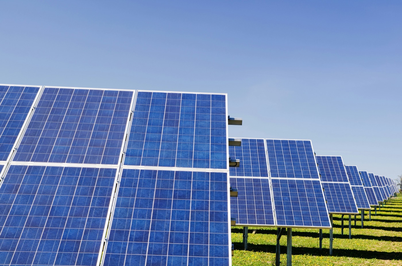 Rows of solar panels